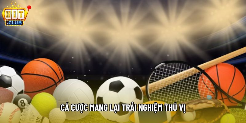 Cá cược mang lại trải nghiệm thú vị Cá cược mang lại trải nghiệm thú vị