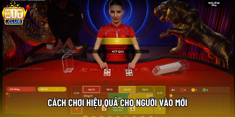 Cách chơi hiệu quả cho người vào mới