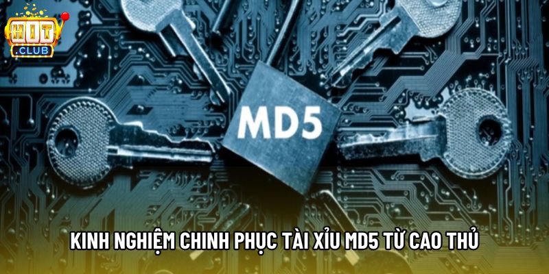 Kinh nghiệm chinh phục tài xỉu MD5 từ cao thủ Kinh nghiệm chinh phục tài xỉu MD5 từ cao thủ