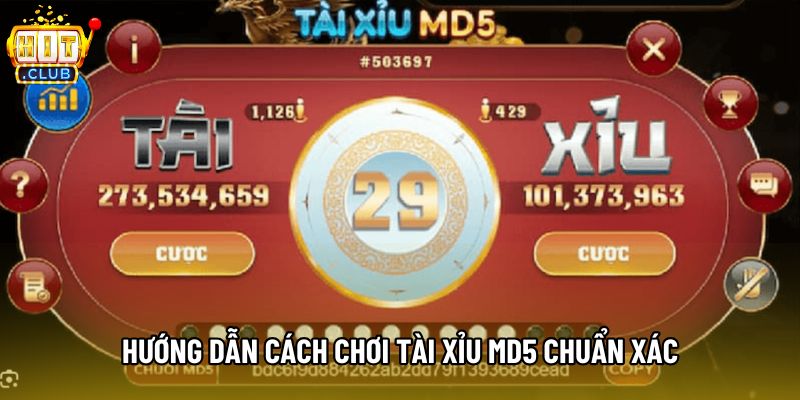 Hướng dẫn cách chơi tài xỉu MD5 chuẩn xác Hướng dẫn cách chơi tài xỉu MD5 chuẩn xác