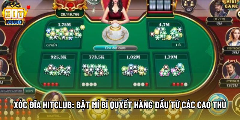 Xóc Đĩa Hitclub: Bật Mí Bí Quyết Hàng Đầu Từ Các Cao Thủ